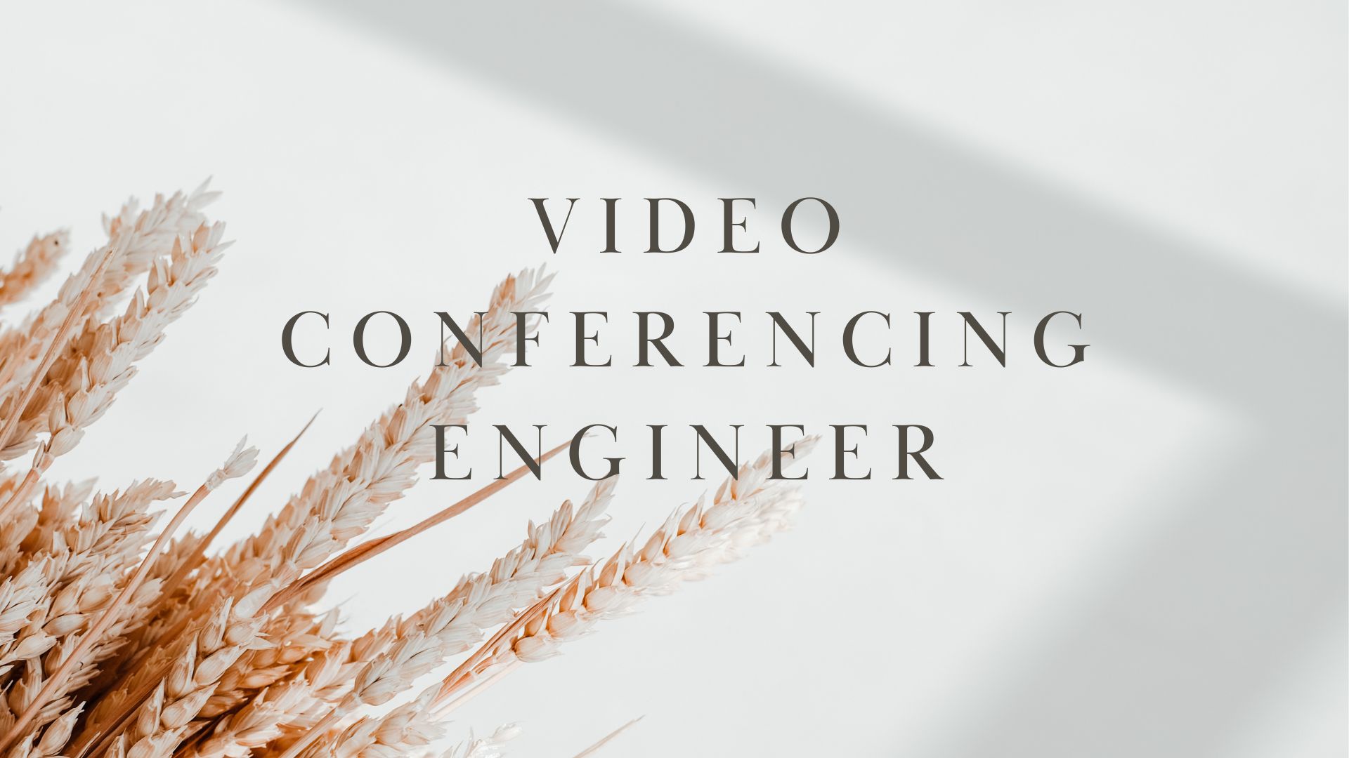Career Planning Guide for 2025: Video Conferencing Engineer