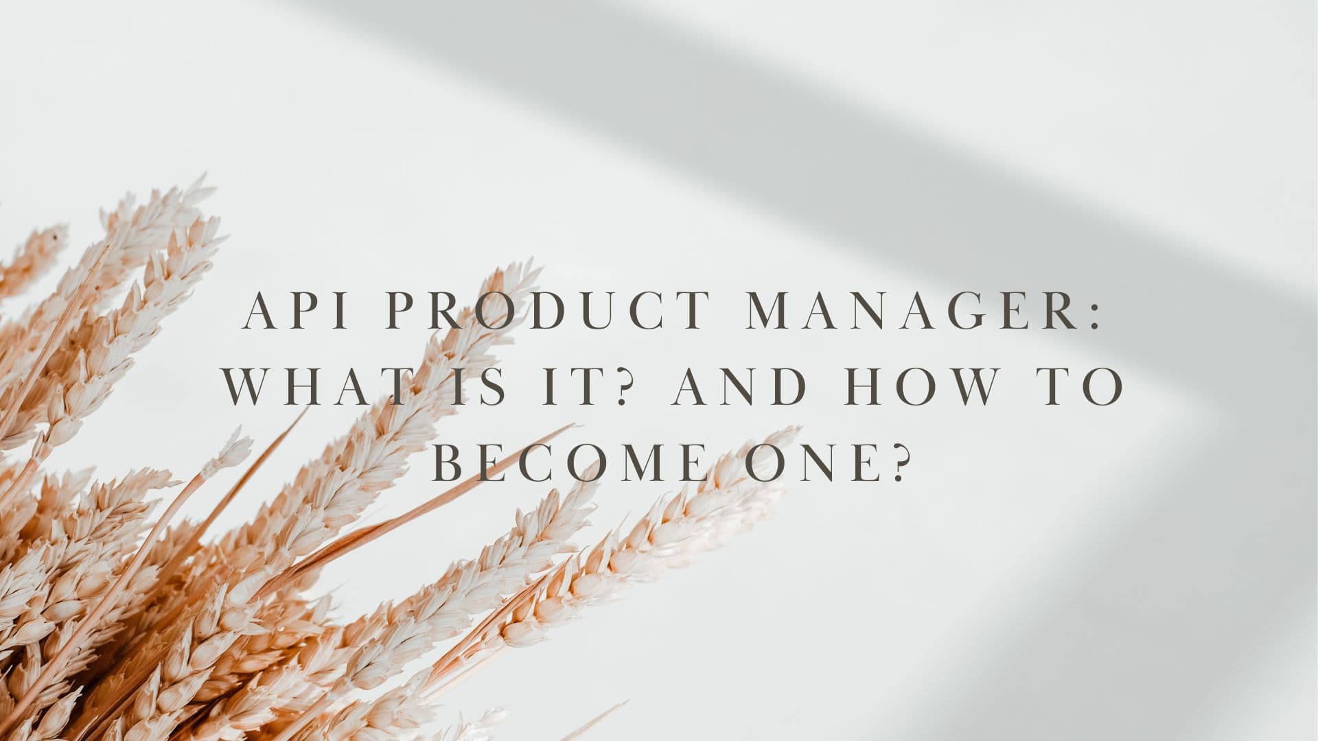 API Product Manager: What Is It? and How to Become One?