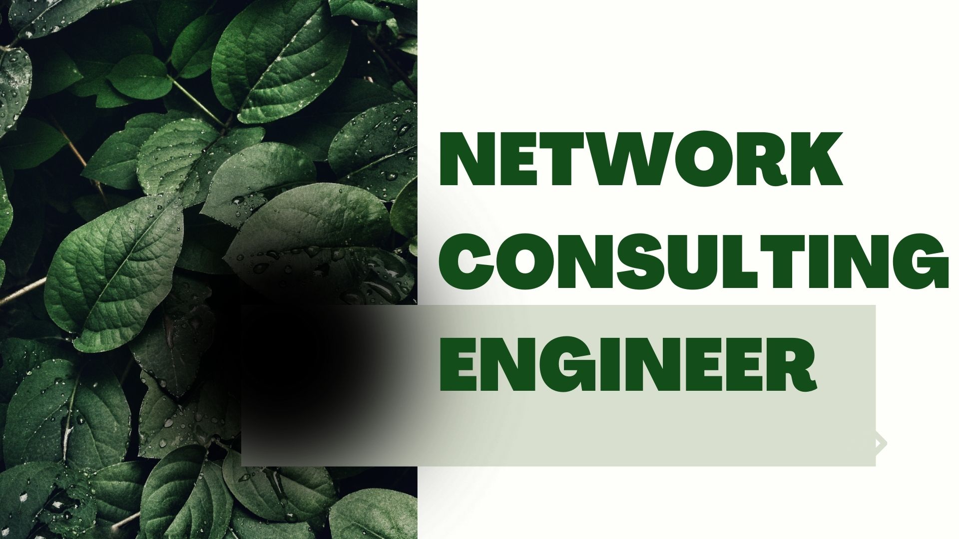 What does it take to become a Network Consulting Engineer?