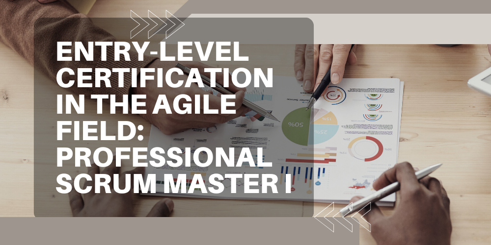 Entry-level certification in the agile field: Professional Scrum Master I