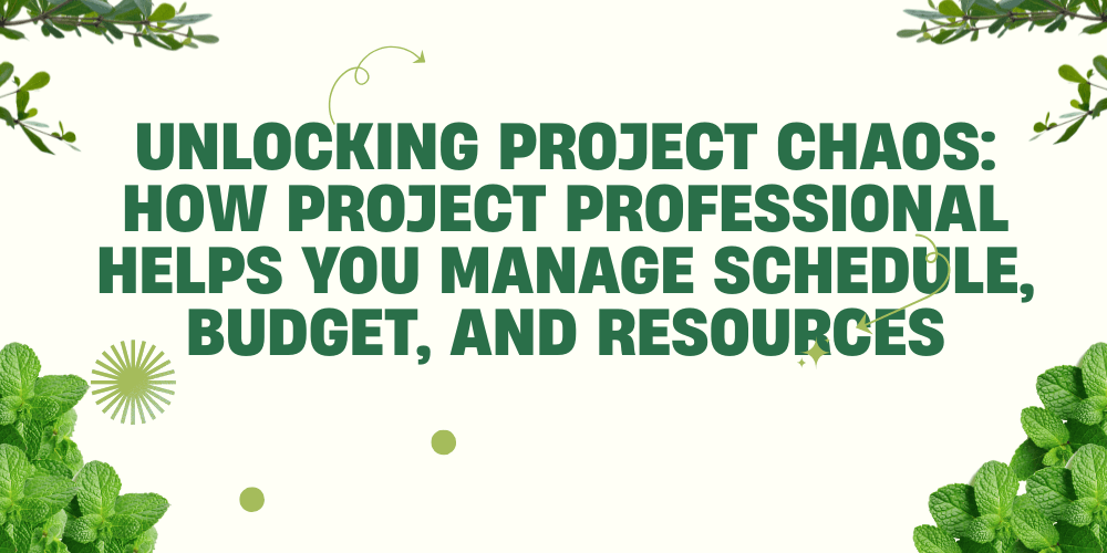 Unlocking Project Chaos: How Project Professional Helps You Manage Schedule, Budget, and Resources